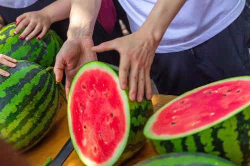 吃瓜免费观看,揭秘热门事件背后的真相 第2张 吃瓜免费观看,揭秘热门事件背后的真相 第2张